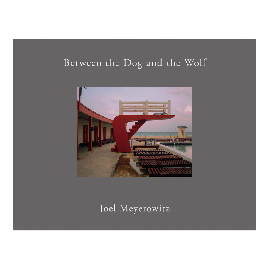 Joel Meyerowitz Between the Dog and the… Between the Dog and the Wolf — Joel Meyerowitz